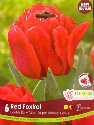Red Foxtrot