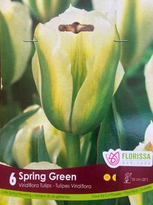 Spring Green