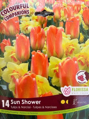 Sun Shower