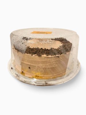 Ice Cream Cake - 10" Chocolate