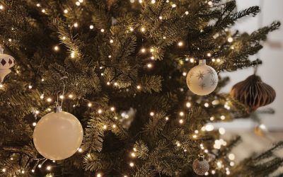 Live Christmas Trees – To Do List