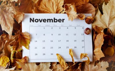 What to Do in November