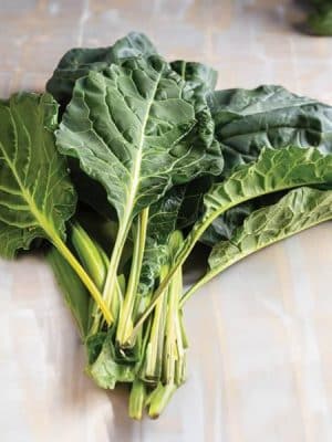 Flash Collards