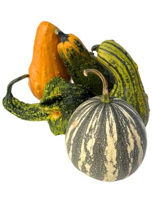 Gourds, Assorted