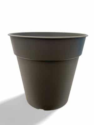Madagascar Pot Black