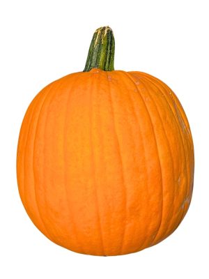 Pumpkins, Assorted
