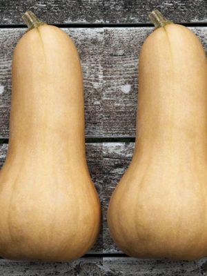 Prism Winter Squash