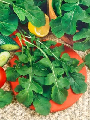 Arugula Roquette Seeds, OSC