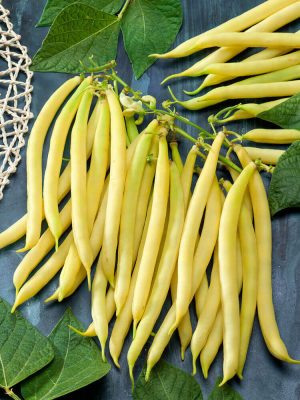 Golden Wax Yellow Bush Bean Seeds (Organic), Aimers Organic