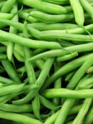 Tendergreen Bush Bean Seeds (Organic), Aimers Organic