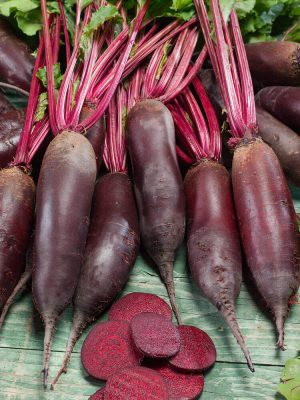 Cylindra Beet Seeds (Organic), Aimers Organic
