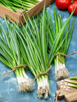 Evergreen Bunching Onion Seeds (Organic), Aimers Organic