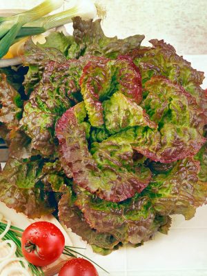 Prizehead Lettuce Seeds, OSC