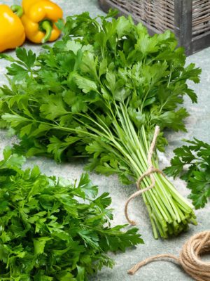 Italian Plain Leaved Parsley Seeds (Organic), Aimers Organic