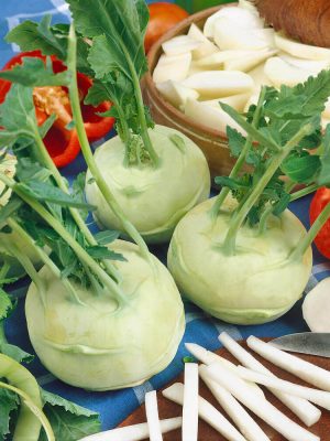 White Vienna Kohlrabi Seeds, OSC