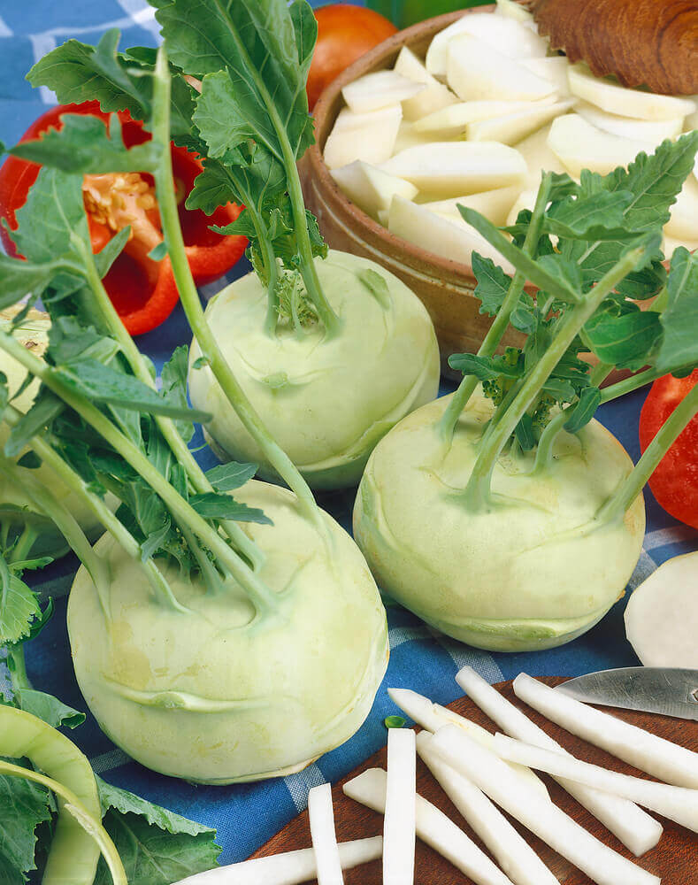 White Vienna Kohlrabi Seeds, OSC