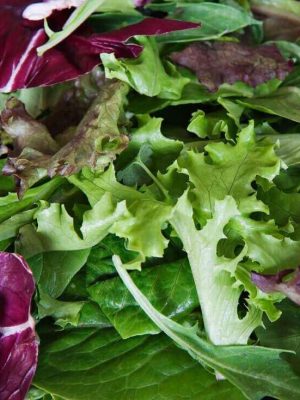 Mesclun French Salad Mix Seed Tape (Organic), Aimers Organic