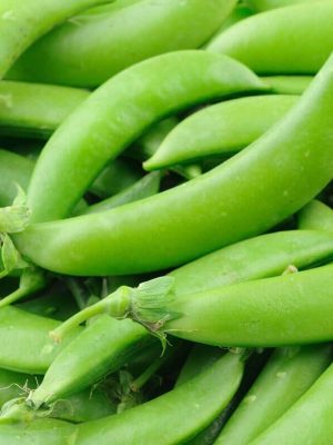 Sugar Snap Pea Seeds, OSC