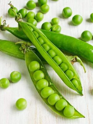 Laxton’s Progress Peas Seeds (Organic), Aimers Organic