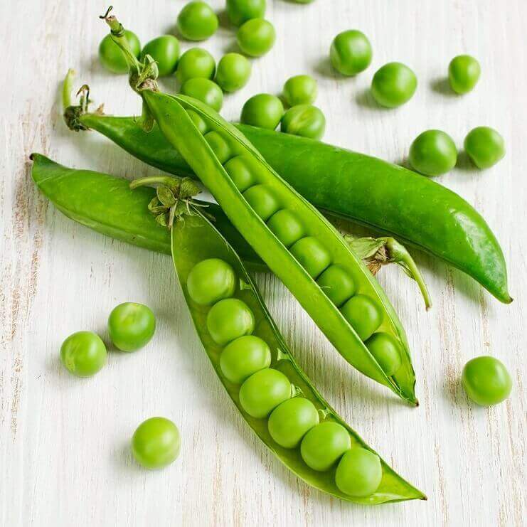 Laxton’s Progress No. 9 Pea Seeds, OSC