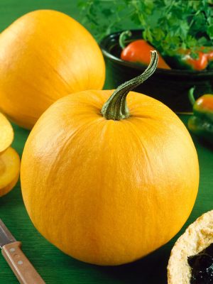 Small Sugar or Pie Pumpkin Seeds, OSC