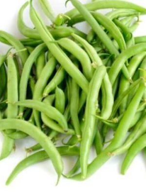 Blue Lake Pole Bean Seeds, OSC