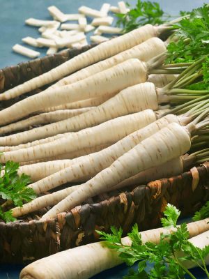 Hamburg Root Parsley Seeds, OSC