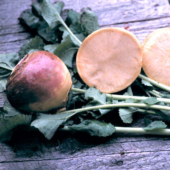 Laurentian Rutabaga Seeds, OSC