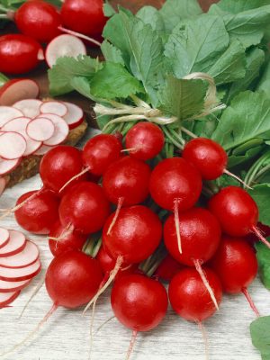 Cherry Belle Organic Radish Seeds, OSC