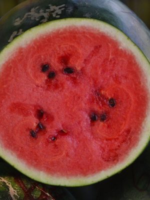 Sugar Baby Watermelon Seeds (Organic), Aimers Organic