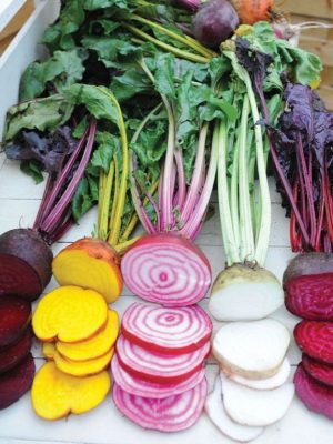 Beetroot 'Rainbow Mix' Seeds, Suttons