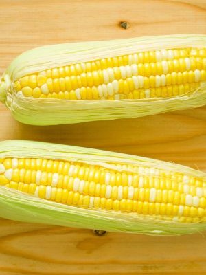 Bilicious Sweet Corn Hybrid Seeds, OSC
