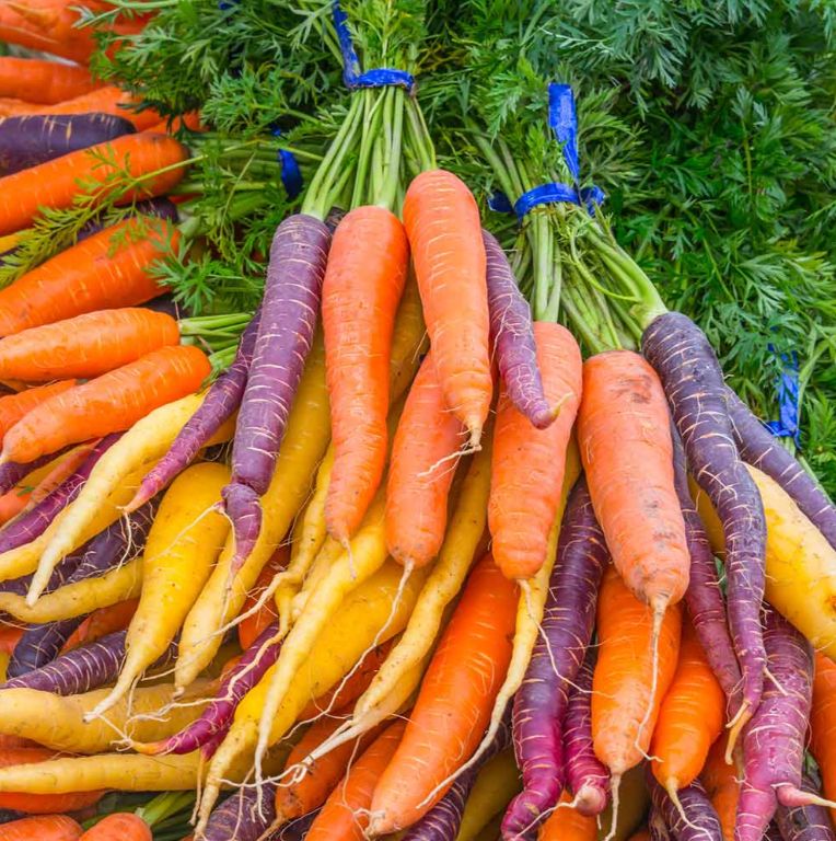 Carrot 'Rainbow Mix' Seeds, Suttons
