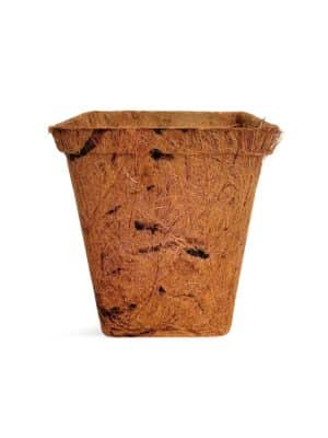 Coir Pot - 3.5"