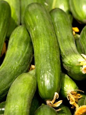 Cucumber 'Mini Muncher' F1 Seeds, Suttons