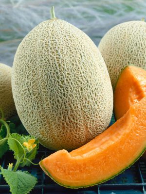 Hale’s Best Cantaloupe Seeds, OSC