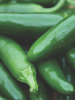 Hot Pepper Spicy Slice
