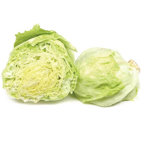 Iceberg Lettuce Seeds, OSC