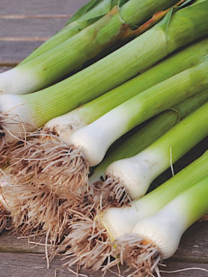 Leek American Flag
