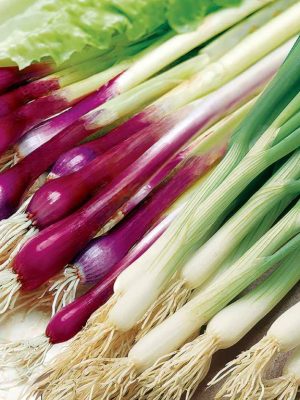 Onion (Salad) 'Red & White Mix' Seed Tape, Suttons