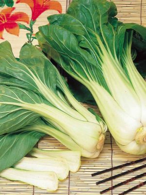 Pak Choi 'Hanakan' F1 Seeds, Suttons