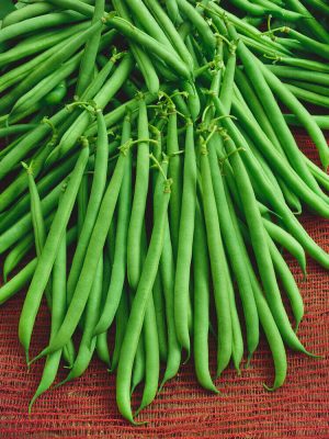 Slenderette Bush Bean Seeds, OSC