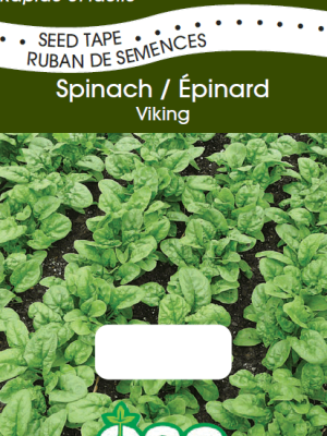 Spinach Viking Seed Tape, OSC