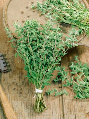 Sweet Marjoram Seeds, OSC