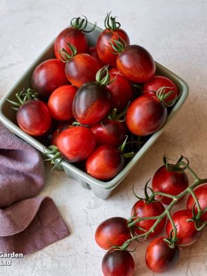 Tomato 'Black Moon' F1 Seeds, Suttons