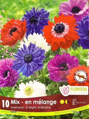 Anemone Mix Bulbs, Florissa