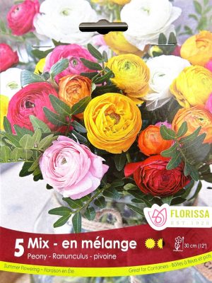 Peony Mix Bulbs, Florissa