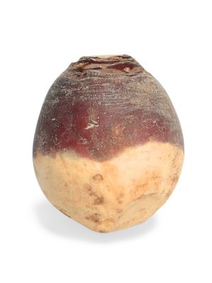 Turnip