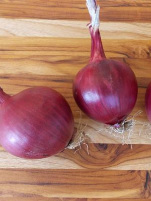 Onion 'Red Carpet'