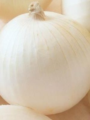 Onion 'Sierra Blanca'